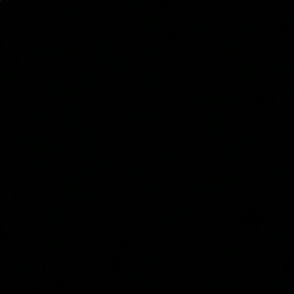 Meet your Posher, Lisa - Picture 1 of 1